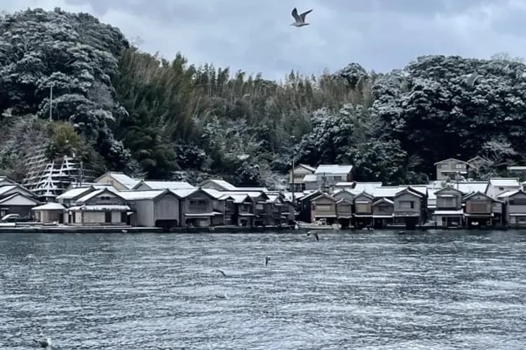 伊根灣觀光船(伊根舟屋)