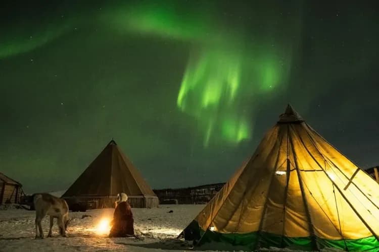 (Photo by Tromso Arctic)-馴鹿雪橇營火晚餐(追極光)