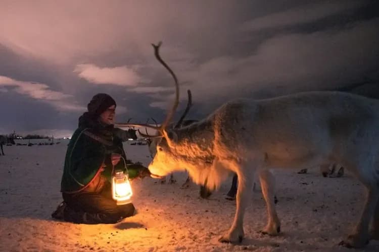 (Photo by Tromso Arctic)-馴鹿雪橇營火晚餐(追極光)