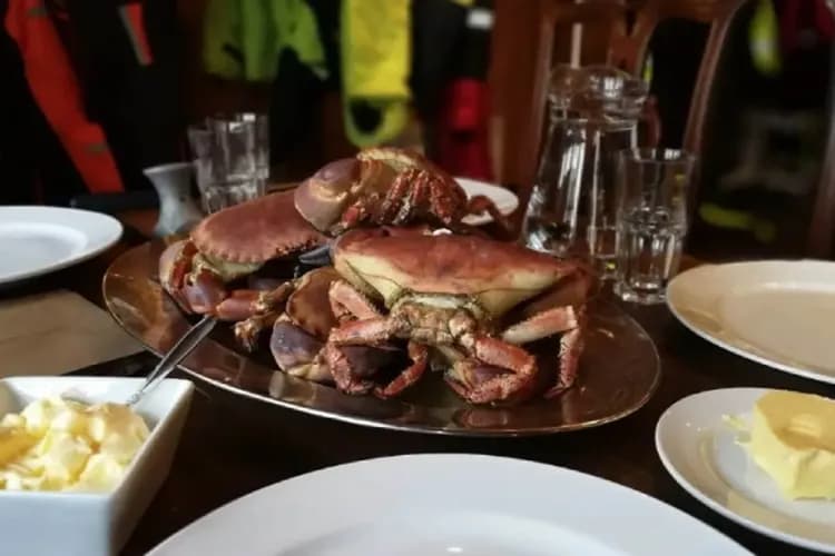 捕蟹之旅(官網授權使用)-北極圈捕蟹之旅(搭乘皮艇)