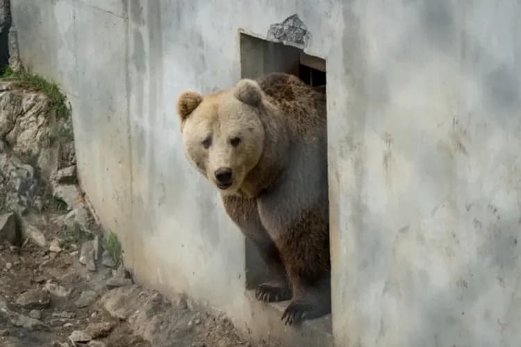 POLAR PARK BARDU-極地野生動物園