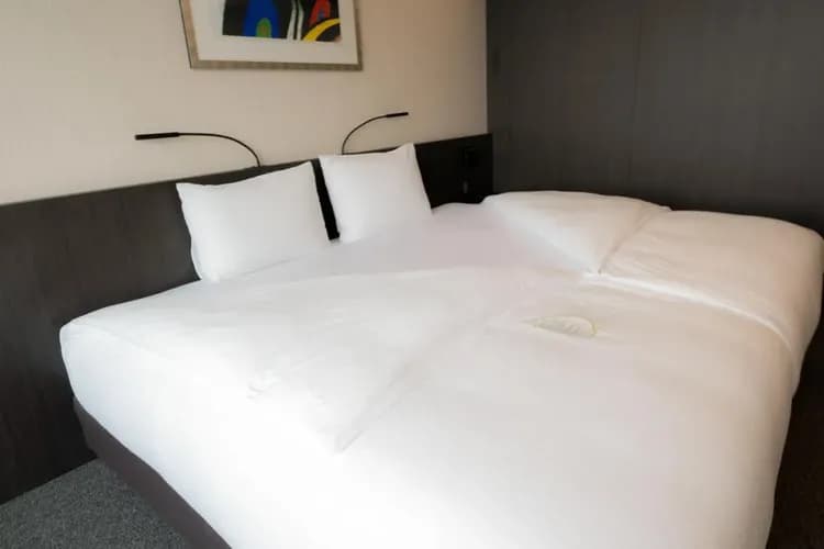 九樹帕那斯首爾明洞 2-11