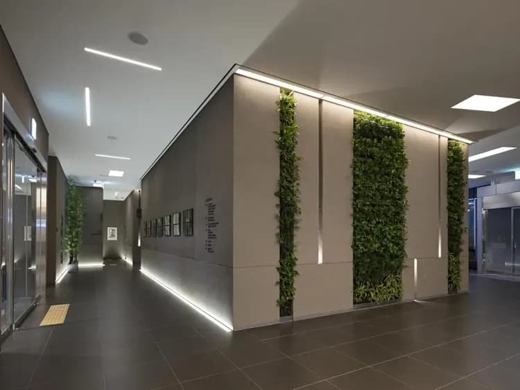 九樹帕那斯首爾明洞 2-20