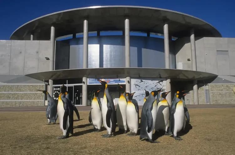 企鵝水族館
