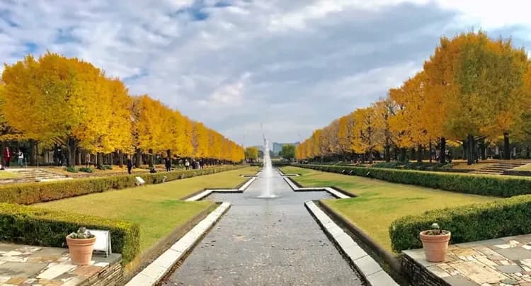 昭和紀念公園(賞銀杏、紅葉)