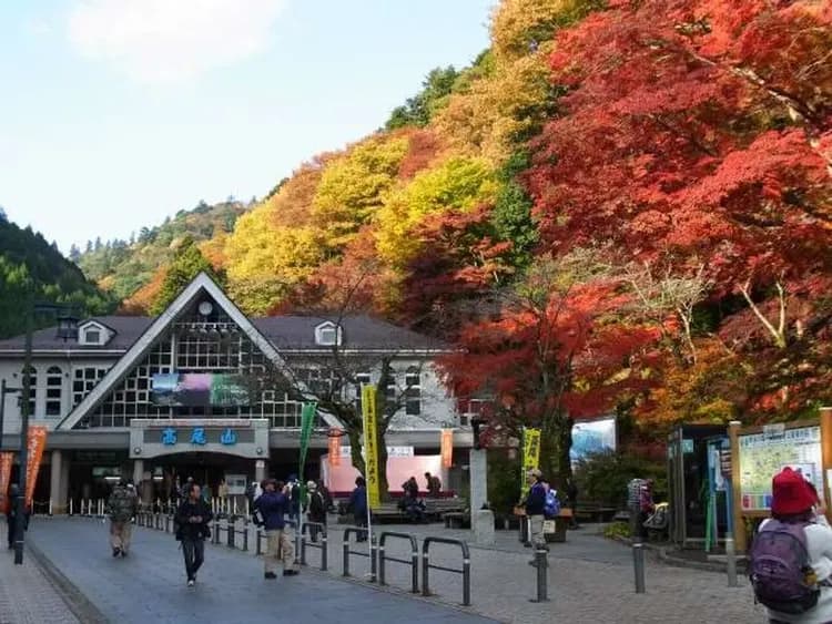 天涼好個秋～楓紅高尾山、河口湖紅葉迴廊、天晴遊覽船、長腳蟹溫泉鄉五日