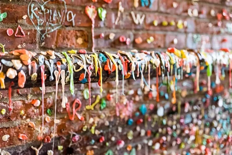 早鳥優惠》美加雙國｜美麗星世界～保住露易絲湖城堡飯店、洛磯四大國家公園、黃金吊橋、溫哥華、西雅圖派克市場１２日-16