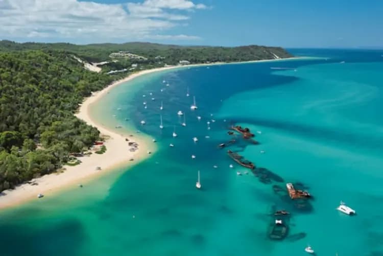 澳洲農莊住乙晚～莫瑞頓海豚島、海洋世界遊船、香漫藍騰酒莊、庫倫賓動物園九日-5