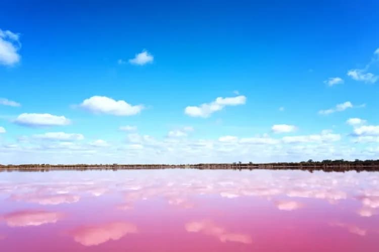 粉紅湖