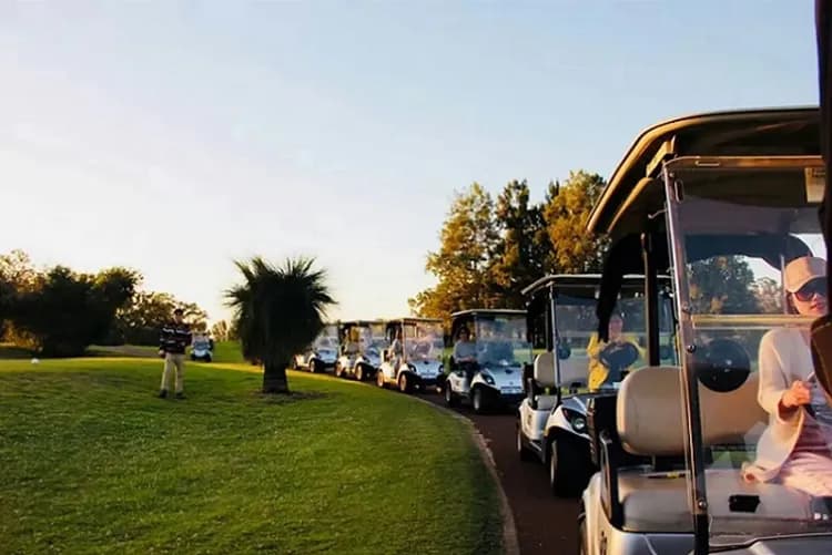 西澳伯斯遇見愛～羅特尼斯島、粉紅湖波浪岩、滑沙酒莊品酒、凱文森動物園八日-11