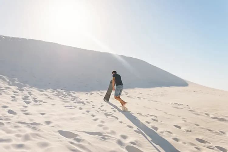 西澳伯斯遇見愛～羅特尼斯島、粉紅湖波浪岩、滑沙酒莊品酒、凱文森動物園八日-8