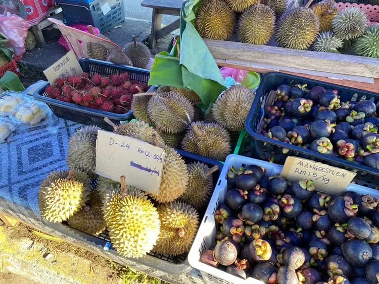【登山】東南亞第一高峰．馬來西亞沙巴神山5日-8