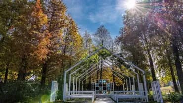 【High Speed Rail Holiday】 Chiayi Hsinyue Garden Hotel 2-Day Free Travel-3