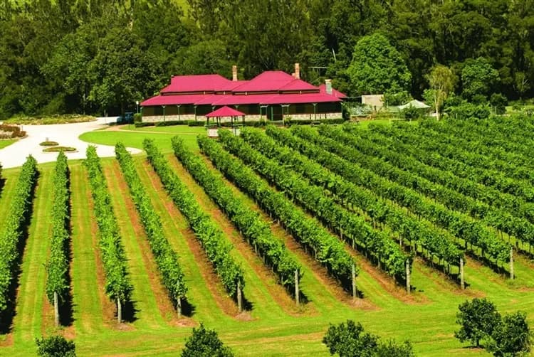 澳洲旅遊｜《小孩不佔床扣一萬》黃金海岸三樂園·親牽羊駝·牛仔很忙曠野馴馬秀·俯瞰絕美海岸線·擁抱無尾熊·超嗨放電黃金7日-12