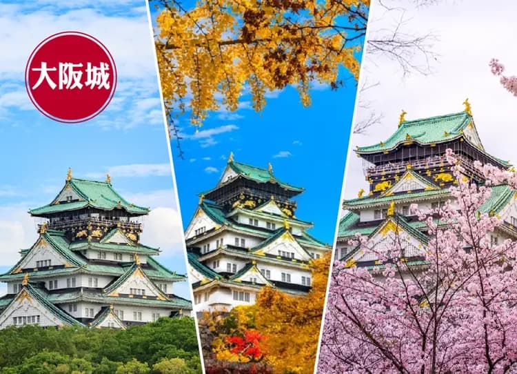 台中出發超值星體驗5日.米其林清水寺.北野異人館.嵐山叮叮車.伏見稻荷神社.奈良小鹿.燒肉吃到飽(星宇航空)-6