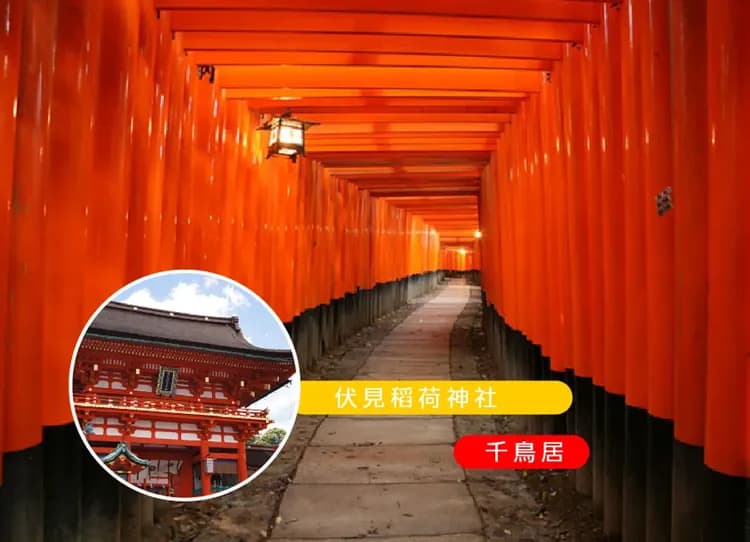 台中出發超值星體驗5日.米其林清水寺.北野異人館.嵐山叮叮車.伏見稻荷神社.奈良小鹿.燒肉吃到飽(星宇航空)-5