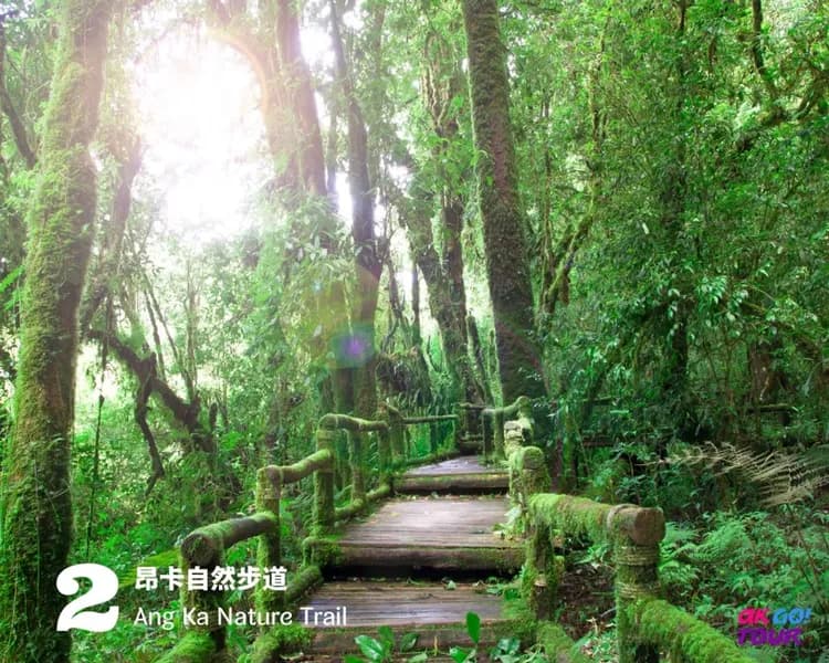 【清邁出發】茵他儂國家公園一日遊＋健行／參訪少數民族-7