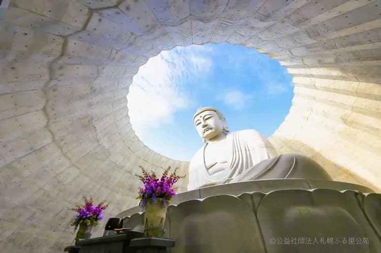 北海道冬之戀～小樽函館山、尼克斯企鵝秀、洞爺湖彩燈節、三大蟹湯泉香五日