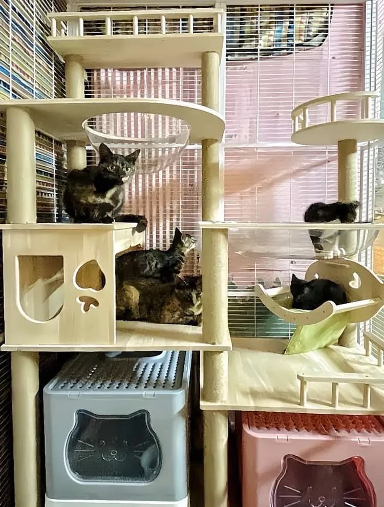 Ma Yuetai Camping Area-15