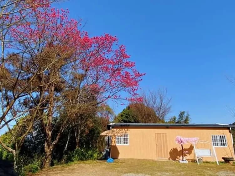 Ma Yuetai Camping Area-11