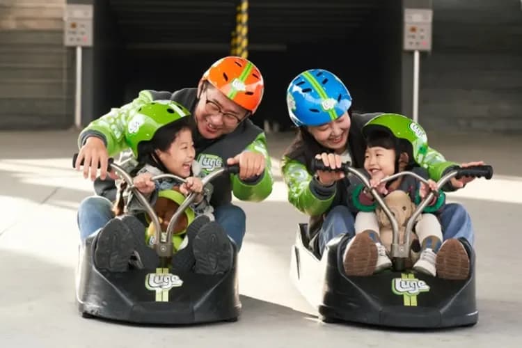 斜坡滑車Skyline Luge-機張LUGE渠道滑車＋景觀纜車(兩次體驗券)