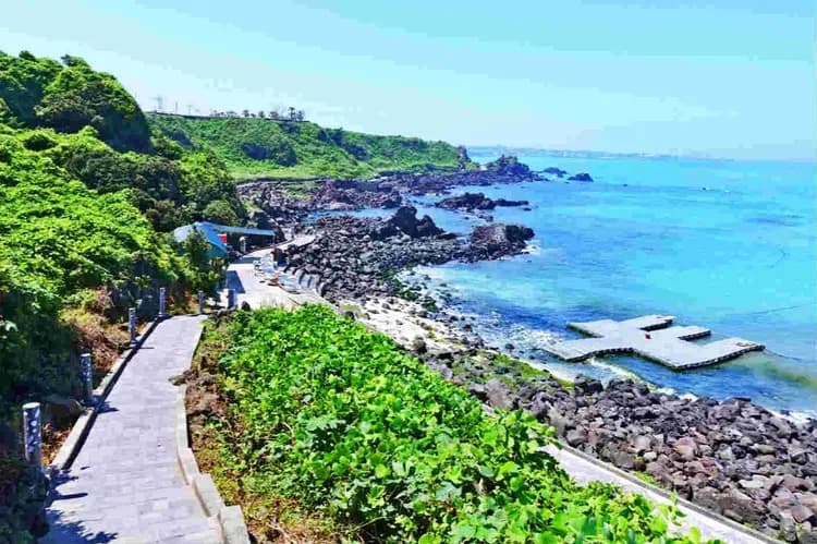 濟州遇見你~漢拏山森呼吸、玻璃屋泰迪熊、世界自然遺產、乙晚濱海飯店五日-5