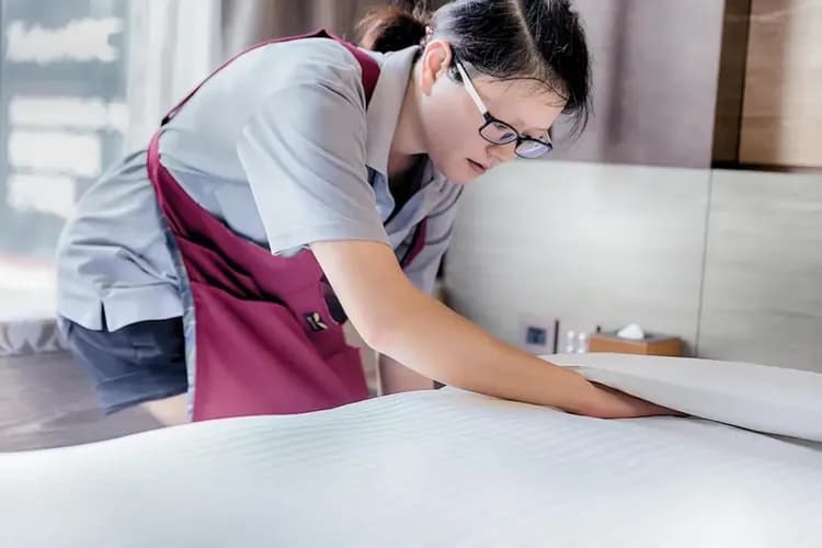 Cleanliness standards