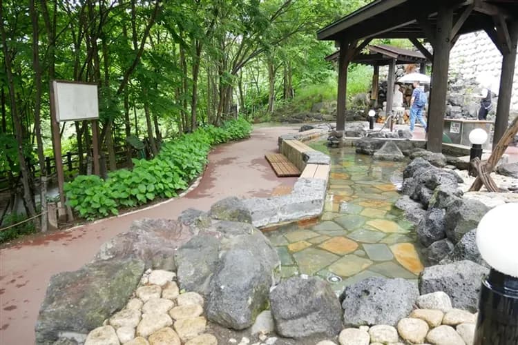 TTE旅展｜北海道積丹半島.定山溪彩燈節.可愛企鵝.小樽漫遊.四季彩之丘.三大蟹.五星萬怡.二晚溫泉.六日｜【高雄直飛】-9