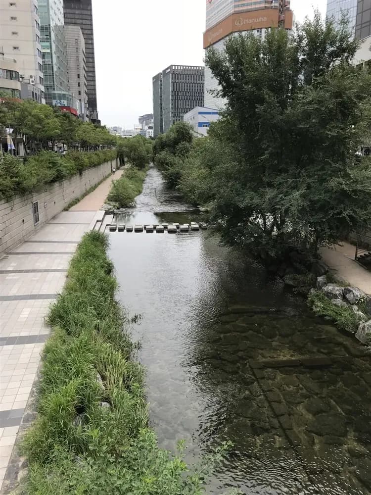 首爾早去晚回｜四晚市區飯店．景福宮韓服體驗．祕訪青瓦臺．人工浮島夜景．鐵道自行車．日月樹木園(一站購物彩妝)五日｜高雄-6