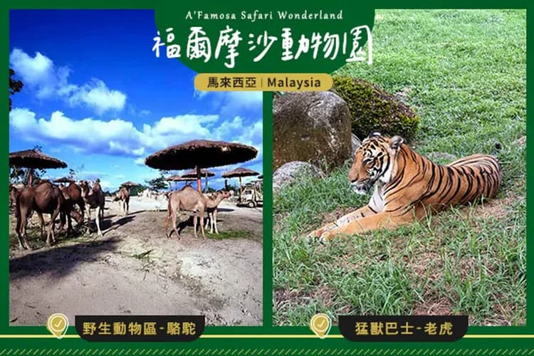 A`Famosa野生動物園(遊園車)