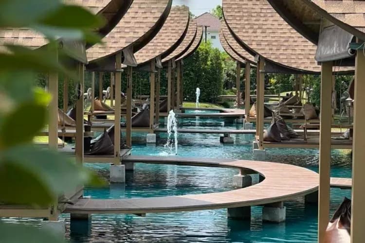 森林中的泡泡(水上漂浮咖啡廳；贈送飲品一杯)