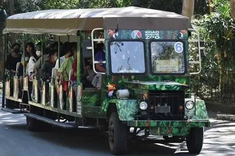 綠山動物園(含遊園車+動物餵食)
