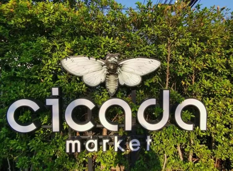 KHH泰愛華欣曼谷～華欣動物園、安帕瓦府漫遊、湄南河夜遊船、水上漂浮咖啡廳5＋1日-10