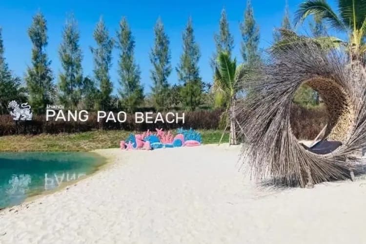 水雲端：森林美學莊園