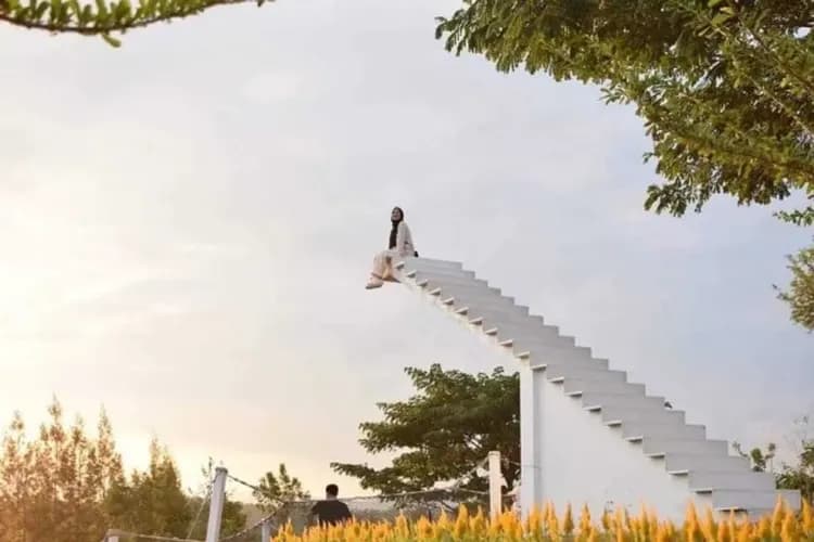 水雲端：森林美學莊園