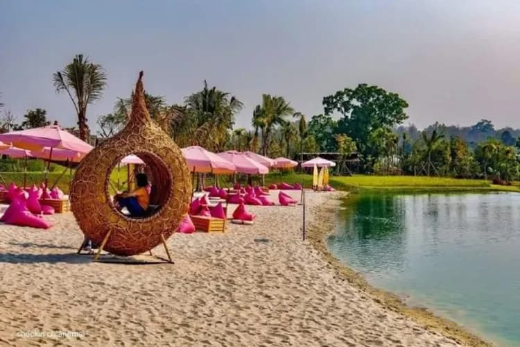 水雲端：森林美學莊園