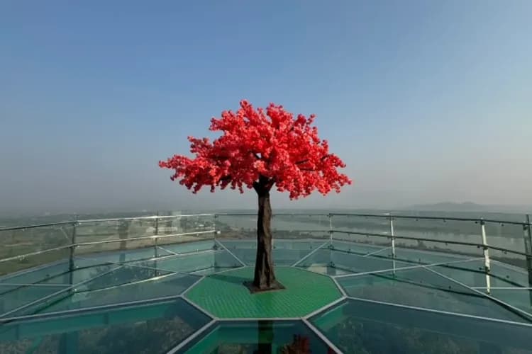 FUN玩泰北～清萊金三角、美學森林莊園、大象綿羊牧場、蘭納古城漫遊五日-5