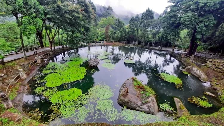 新月塢溫泉 Mikatsuki Tani｜獨家9折起！尖石溫泉、可愛動物區-14