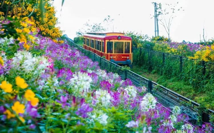 KHH最美北越～夢幻山城沙壩、芒花登山列車、寧平陸龍灣、全程五星飯店五日-8