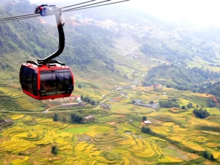 番西邦峰(芒花登山列車+纜車來回+單程登頂小火車)