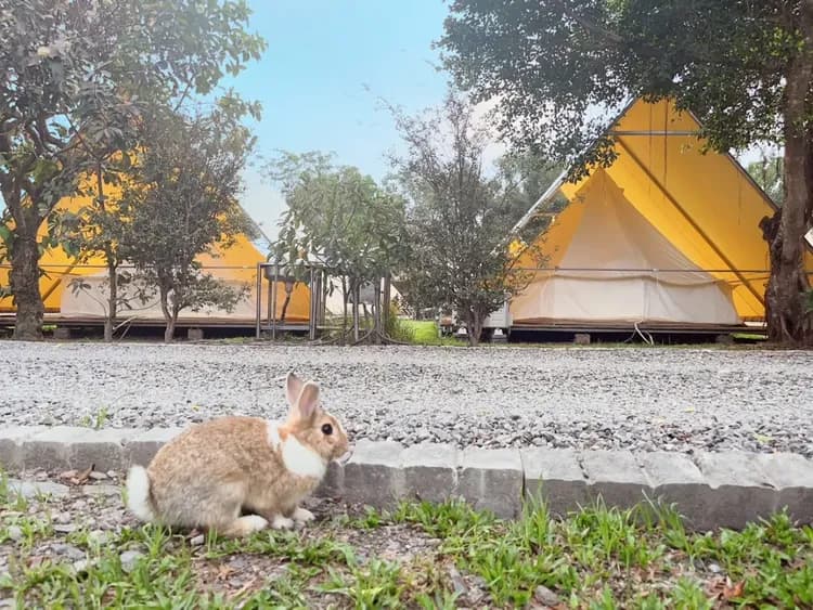 露悠悠露營區 | 神殿帳篷大空間含冷氣！ 戲水池、遊戲區，親子首選！-14
