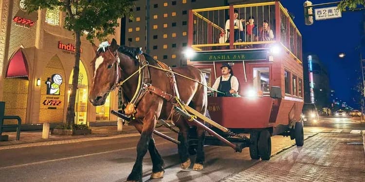 北海道雪國漫步～帶廣馬車吧、森林精靈露台、薰衣草香氛、藻岩山纜車三大蟹五日-8