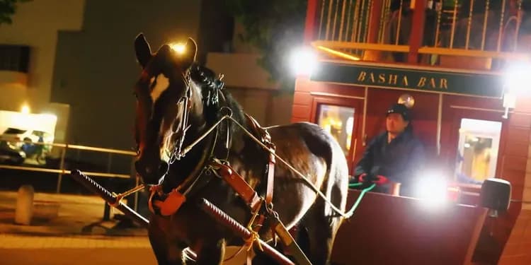 帶廣馬車吧(BASHA BAR)