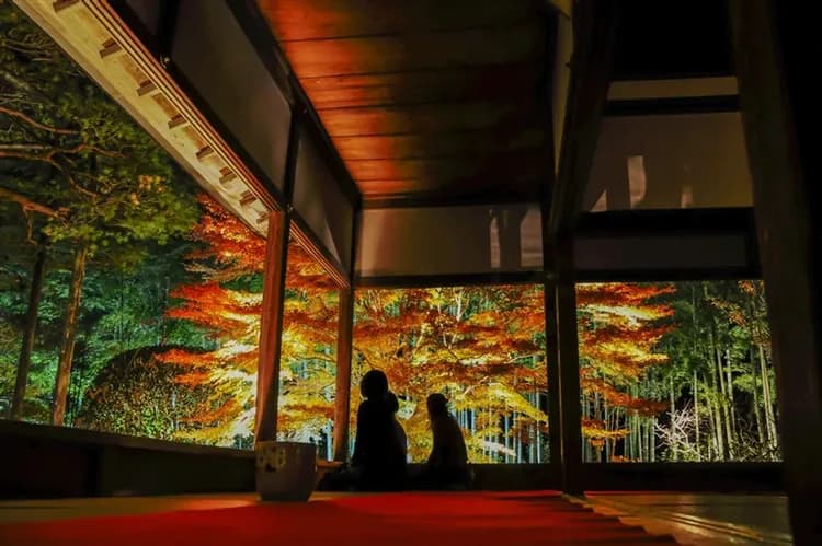 大阪特惠｜日本環球影城瑪利歐.達摩勝尾寺.天橋立纜車.伊根灣舟屋遊覽船.秘境三千院.元離宮二條城六日｜高雄來回-6