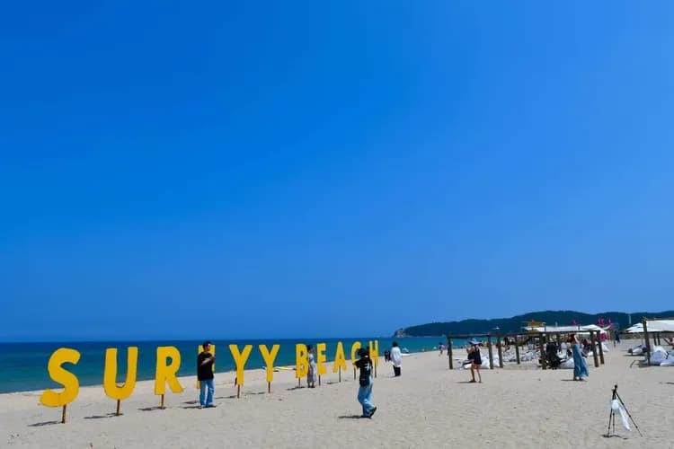 【首爾出發】襄陽Surfyy海灘來回接駁巴士 ★9/6前限時早鳥價★-10