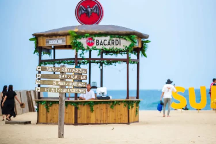 【首爾出發】襄陽Surfyy海灘來回接駁巴士 ★9/6前限時早鳥價★-9