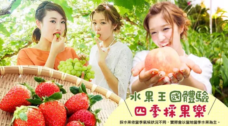 限量出清岡山四國｜道後溫泉.秘境葛藤橋.大步危遊船.金刀比羅宮.採果樂.倉敷美觀.烏龍麵DIY六日｜一日自由活動｜高雄-7