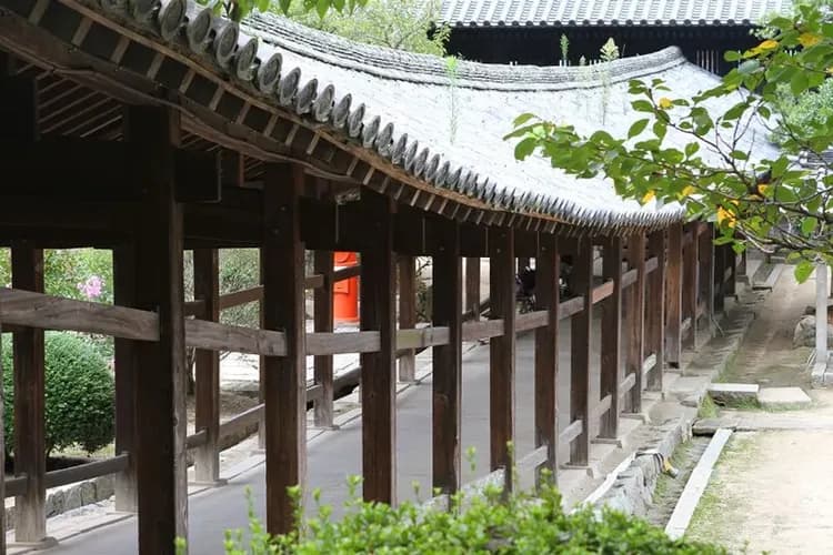 限量出清岡山四國｜道後溫泉.秘境葛藤橋.大步危遊船.金刀比羅宮.採果樂.倉敷美觀.烏龍麵DIY六日｜一日自由活動｜高雄-11