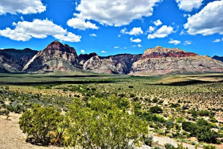 紅岩峽谷國家保護區-紅岩峽谷國家保護區