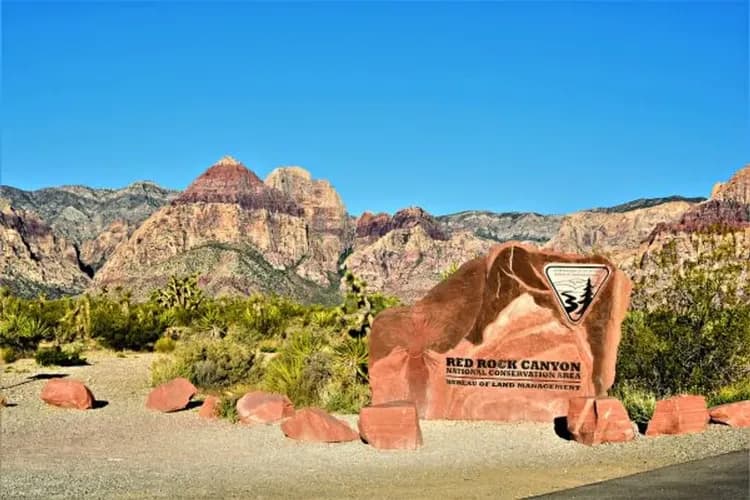 星宇美西雙城～瘋玩環球影城、大峽谷國家公園、棕櫚泉纜車、OUTLET購物八日-12